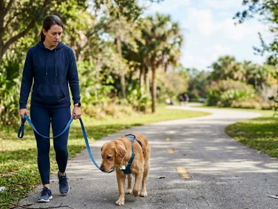Paws on the Ground: A Guide to Mindful Walks in Brentwood